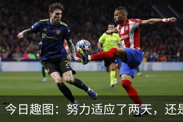 今日趣图：努力适应了两天，还是适应不了补水时间放广告……